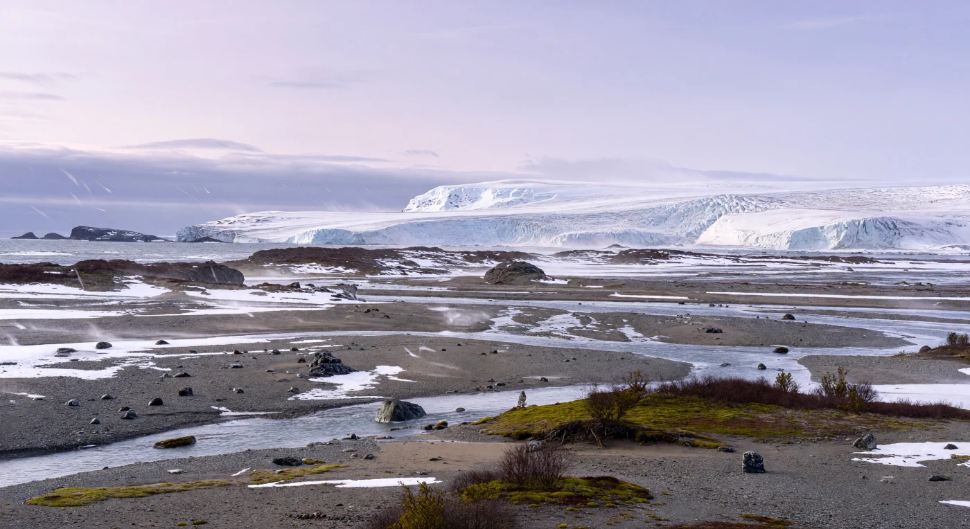 Hace unos 34 millones de años, en la transición del Eoceno al Oligoceno, la costa antártica ya mostraba el inicio de su gran congelación: lenguas de glaciares blancos descienden desde el interior hacia una llanura de acarreo cruzada por ríos trenzados de agua gris azulada, entre morrenas recientes, rocas arrancadas por el hielo y nieve barrida por el viento. La vegetación, reducida a matorrales achaparrados de Nothofagus y pequeñas alfombras de musgos y hepáticas, retrocede ante un clima que se enfriaba con rapidez. Este cambio marcó el nacimiento de una capa de hielo continental en la Antártida, favorecido por la caída del CO₂ y el aislamiento progresivo del continente a medida que se abrían las conexiones oceánicas del sur.