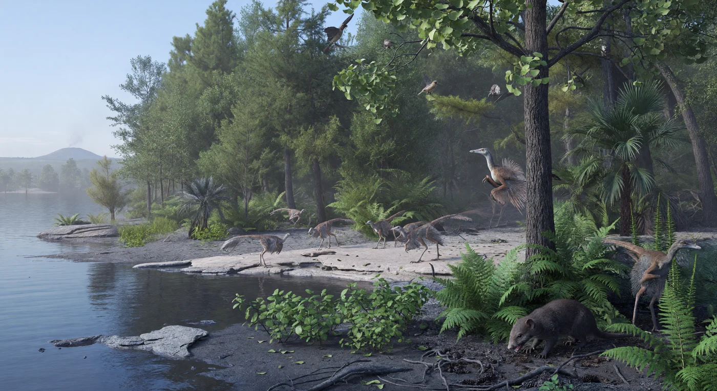 Dans la forêt lacustre de la biote de Jehol, au nord-est de la Chine, de petits Caudipteryx au plumage brun roux fouillent le sol cendreux tandis que de minuscules oiseaux primitifs, probablement des Enantiornithes, voltigent entre les branches de ginkgos et de conifères; plus bas, le mammifère Repenomamus, grand comme un renard, explore les fougères en quête de proies. Cette scène se déroule il y a environ 125 millions d’années, au Crétacé inférieur, dans la Formation de Yixian, un paysage tempéré marqué par des lacs, des retombées de cendres volcaniques et une végétation encore dominée par les gymnospermes, avec seulement quelques modestes angiospermes près de l’eau. Les fossiles exceptionnellement conservés de Jehol ont révélé avec une rare précision l’apparence des plumes, des poils et des écosystèmes, offrant une fenêtre saisissante sur un monde où dinosaures à plumes, oiseaux précoces et mammifères coexistaient déjà.